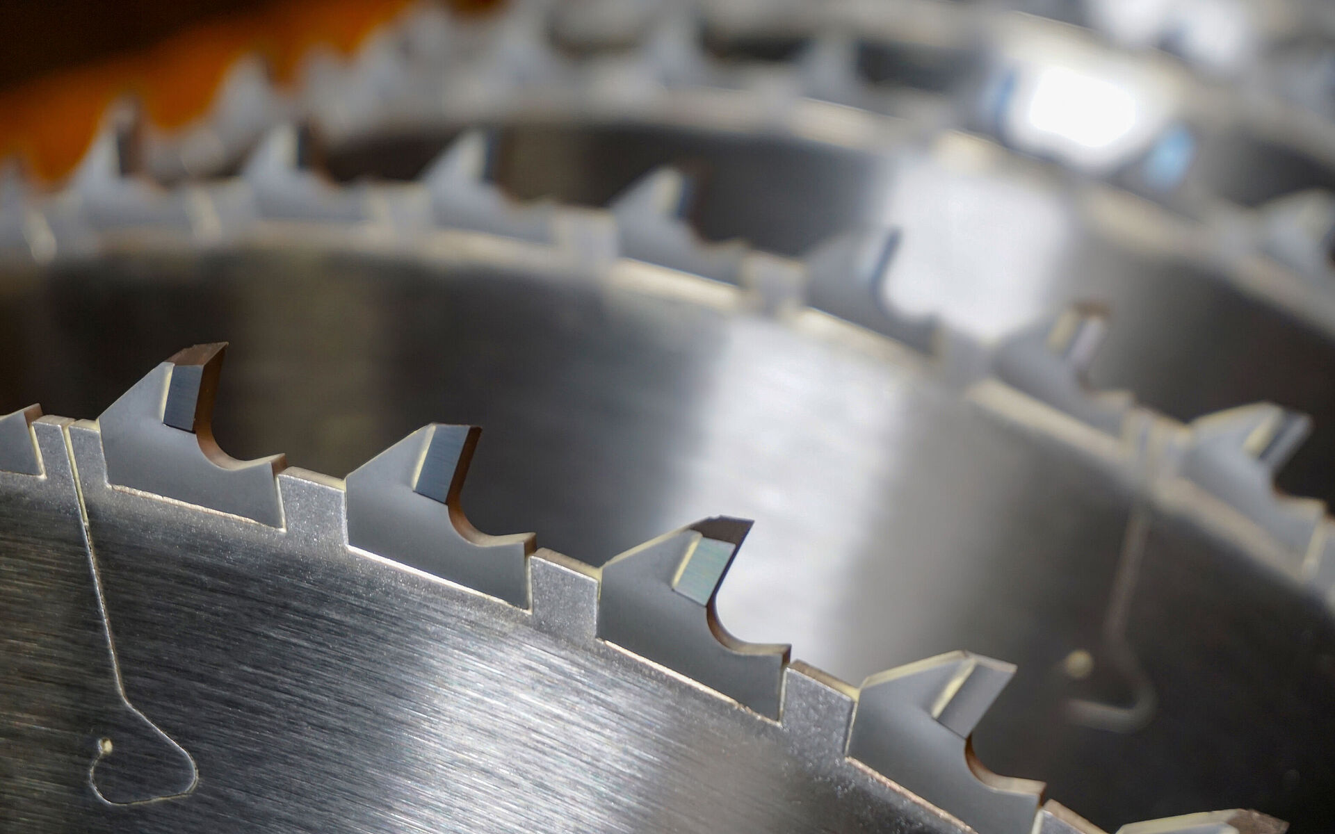 Leitz spindle containing circular sawblades with gullet protected circular sawblade