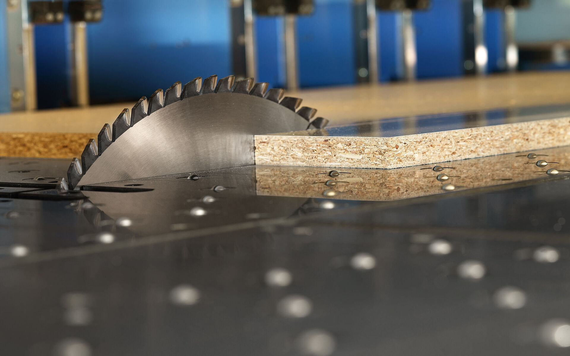 Leitz circular sawblade RazorCut on panel raising saw