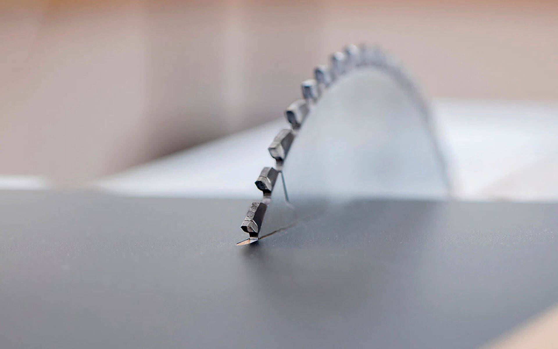 Leitz circular sawblade RazorCut on panel raising saw