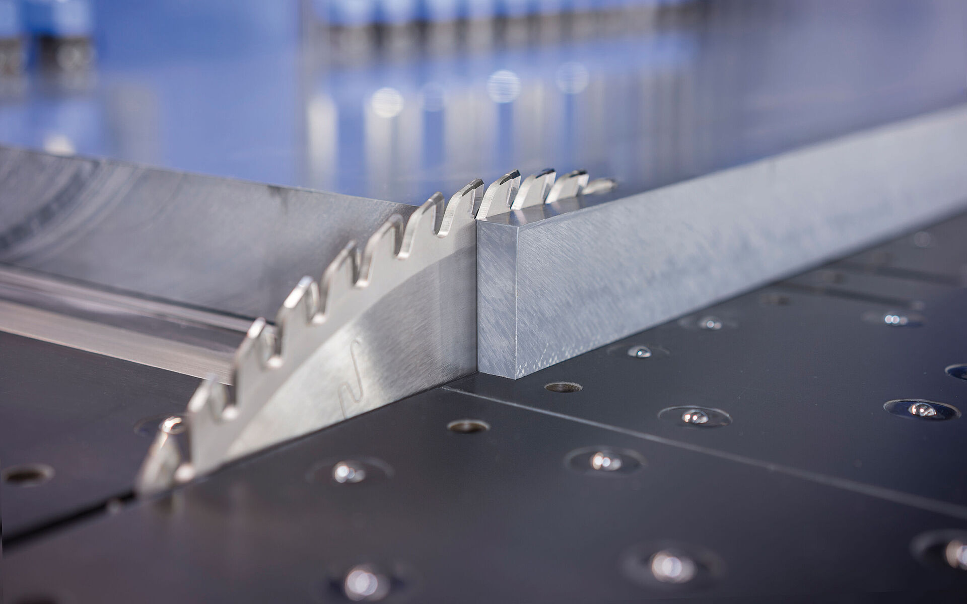 Leitz circular sawblade on panel raising saw